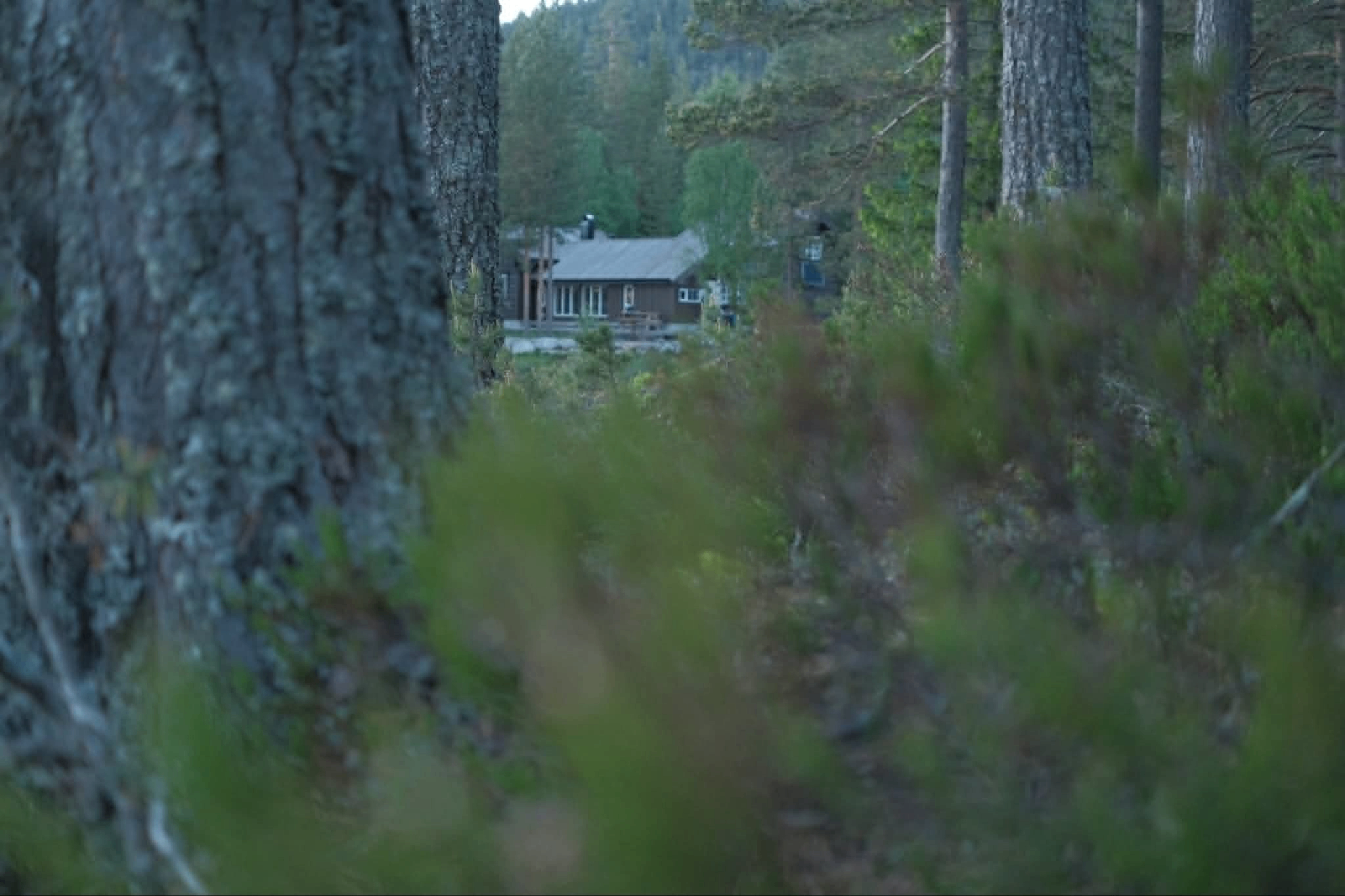 DNT ung - Brettspill på Pråmvika